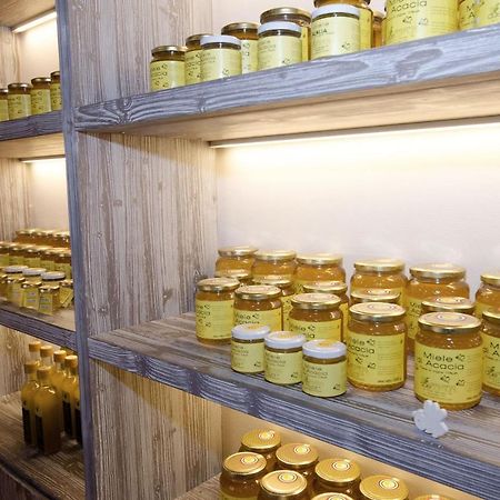 Agriturismo Due Comuni San Gervasio Экстерьер фото