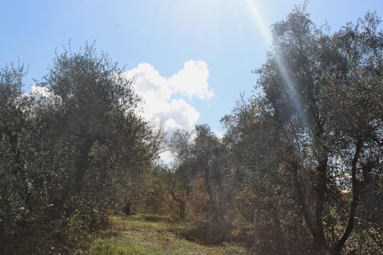 Agriturismo Due Comuni San Gervasio Экстерьер фото